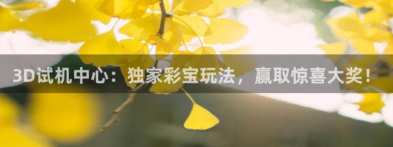 3D试机中心：独家彩宝玩法，赢取惊喜大奖！