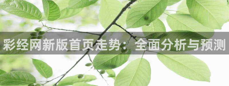 k8凯发f平台注册：彩经网新版首页走势：全面分析与预测