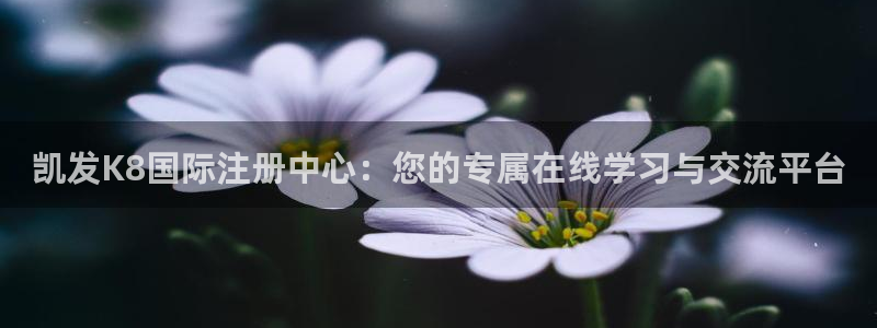 k8凯发2代理注册：凯发K8国际注册中心：您的专属在线学习与交流平台
