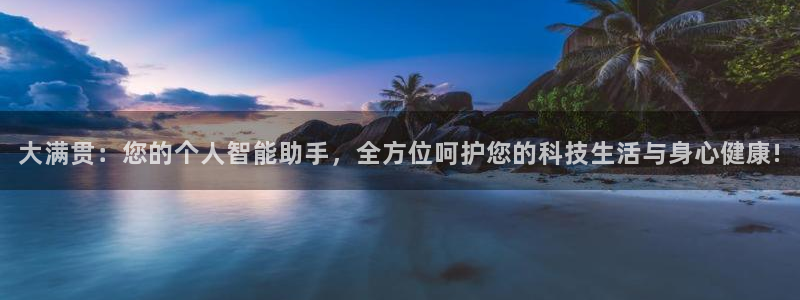 东莞市k8凯发电子科技有限公司：大满贯：您的个人智能助手，全方位呵护您的科技生活