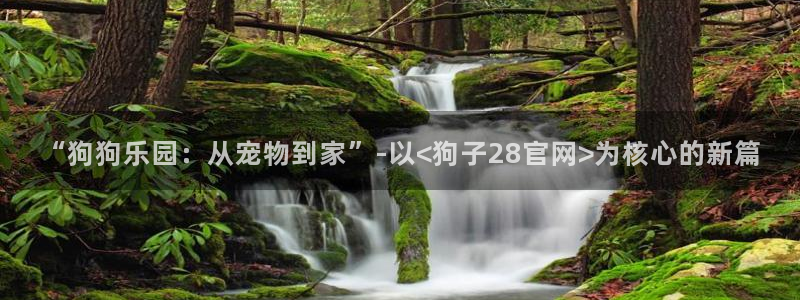 k8凯发2平台登录：“狗狗乐园：从宠物到家”-以<狗子28官网>为核心的新篇