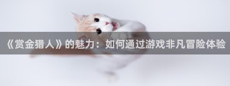 k8凯发平台：《赏金猎人》的魅力：如何通过游戏非凡冒险体验