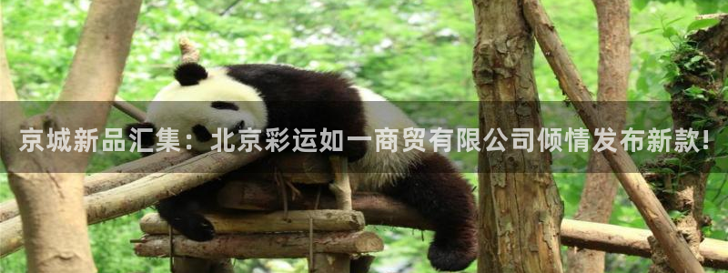 k8凯发2注册：京城新品汇集：北京彩运如一商贸有限公司倾情发布新款!